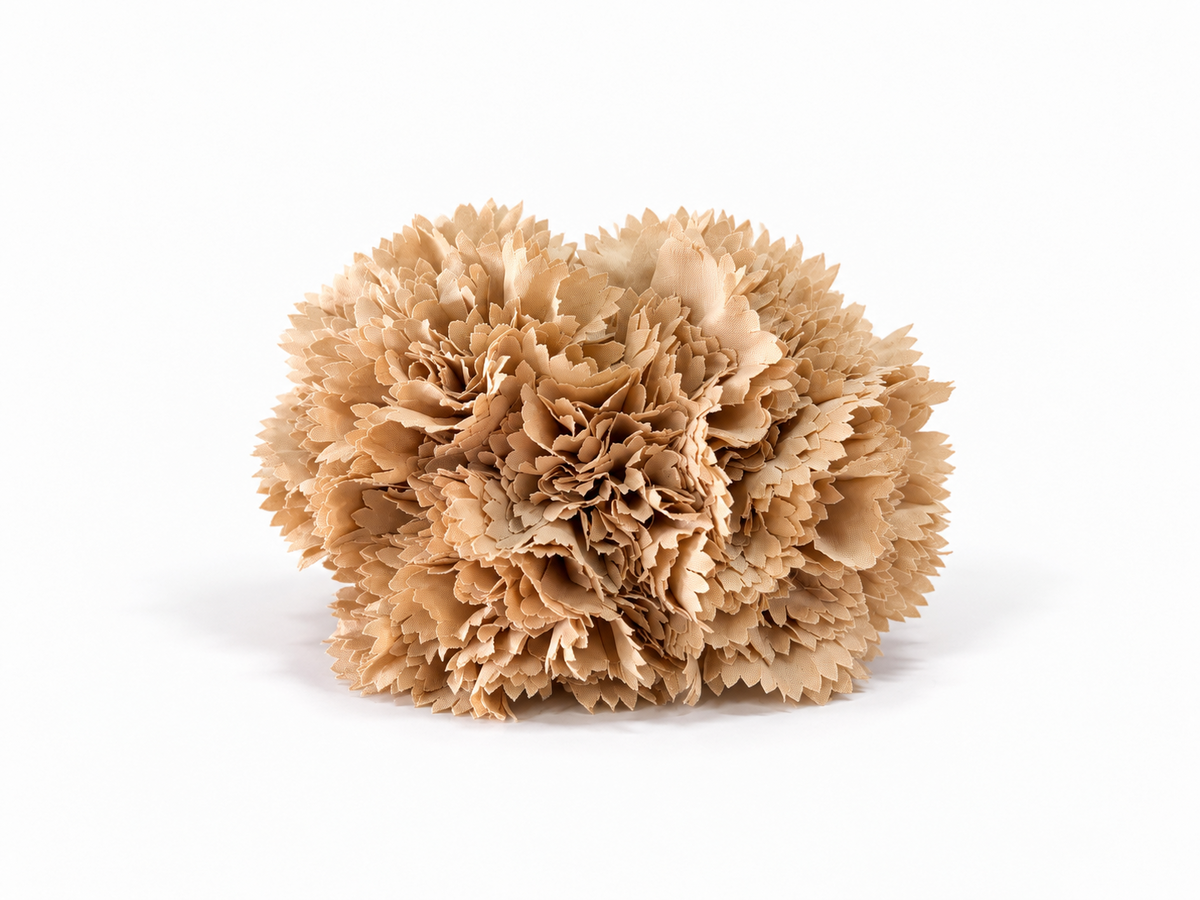 RAMILLETE 5 CLAVELES BEIGE OSCURO