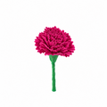 PIN CLAVEL BUGANVILLA
