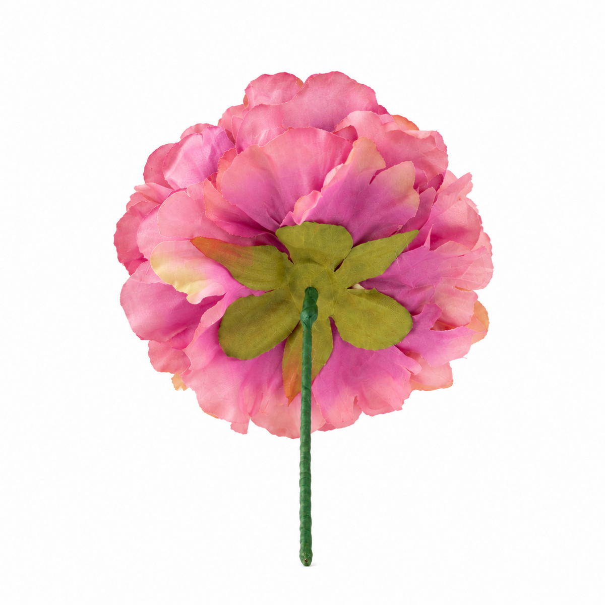 PEONIA NALA GRANDE MALVA