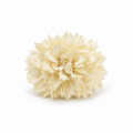 RAMILLETE NIÑA DALIAS BEIGE