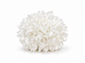 RAMILLETE DALIAS BLANCO