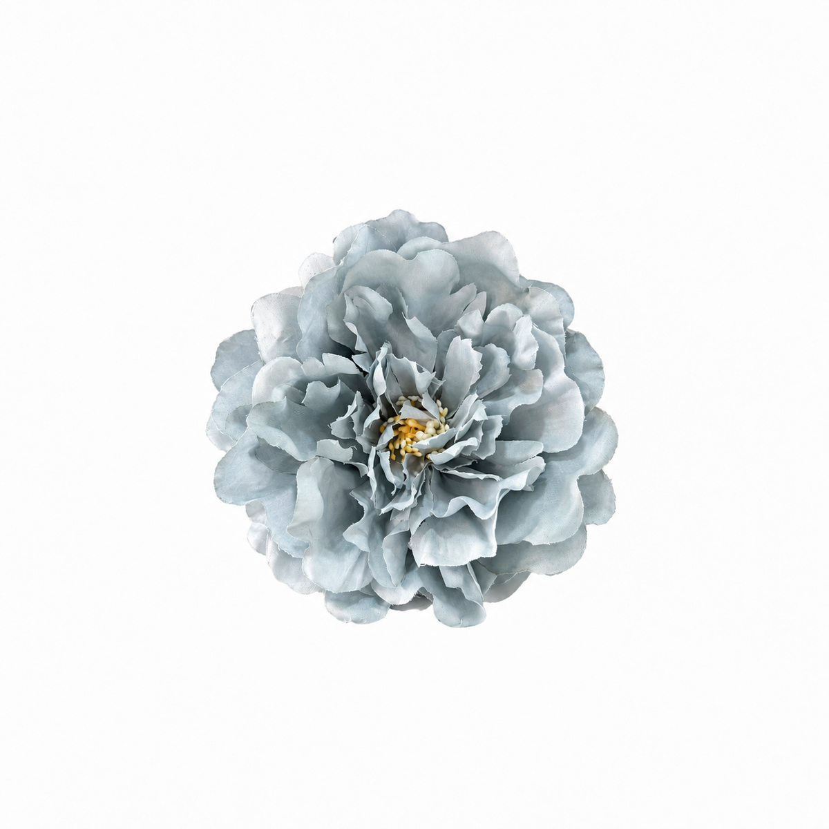PEONIA NALA GRANDE CELESTE