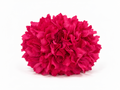 RAMILLETE DALIAS FUCSIA