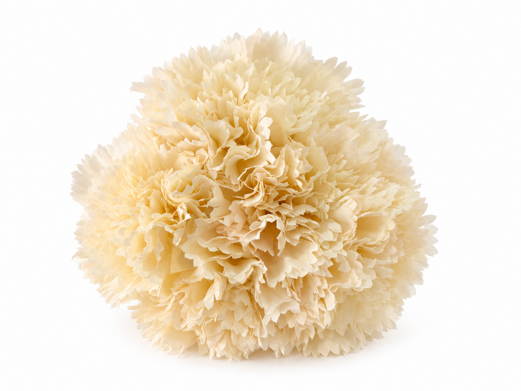 RAMILLETE 5 CLAVELES BEIGE CLARO