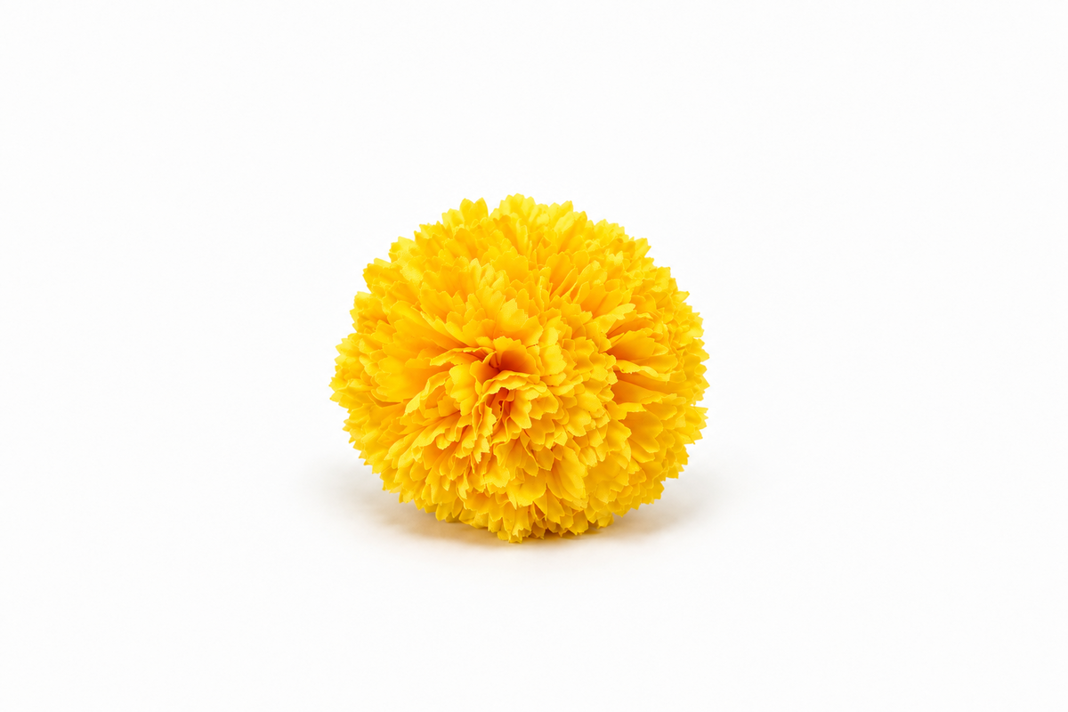 RAMILLETE CLAVELES NIÑA AMARILLO