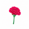 PIN CLAVEL FUCSIA