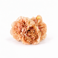 RAMILLETE 3 CLAVELES BEIGE TOSTADO