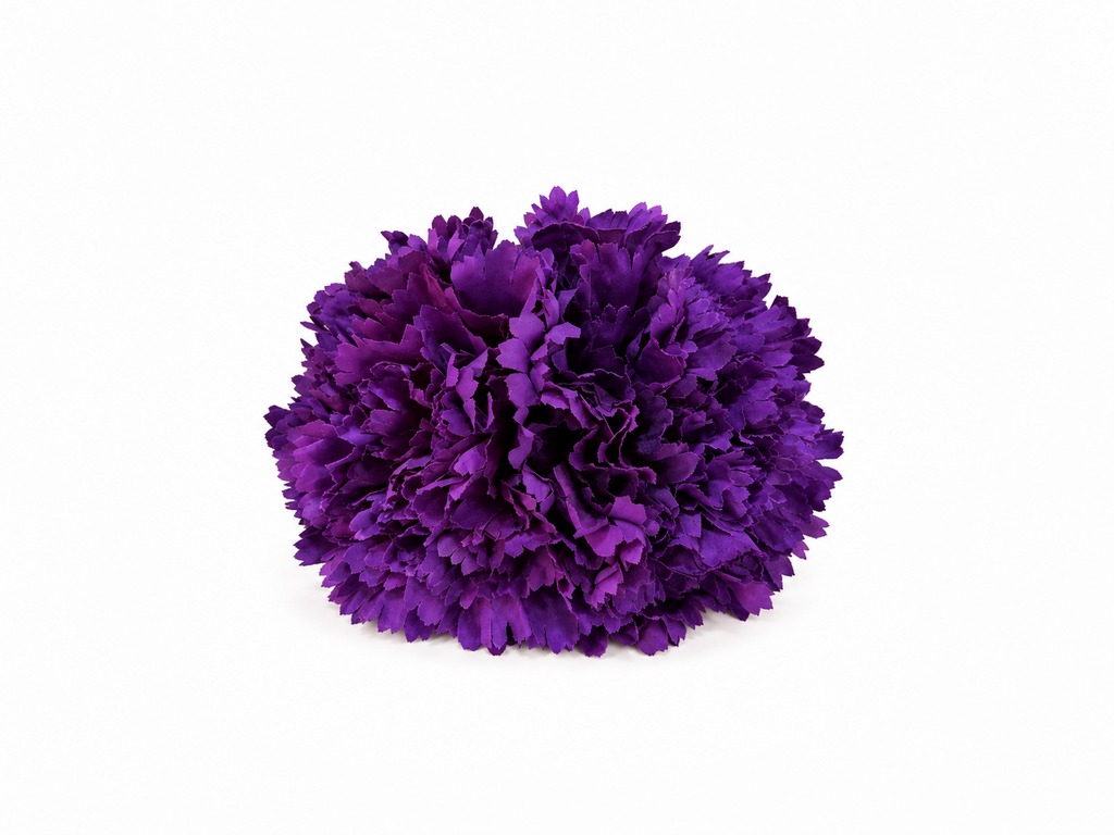 RAMILLETE 2 CLAVELES MORADO