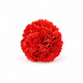 RAMILLETE CLAVEL TINTADO CORAL