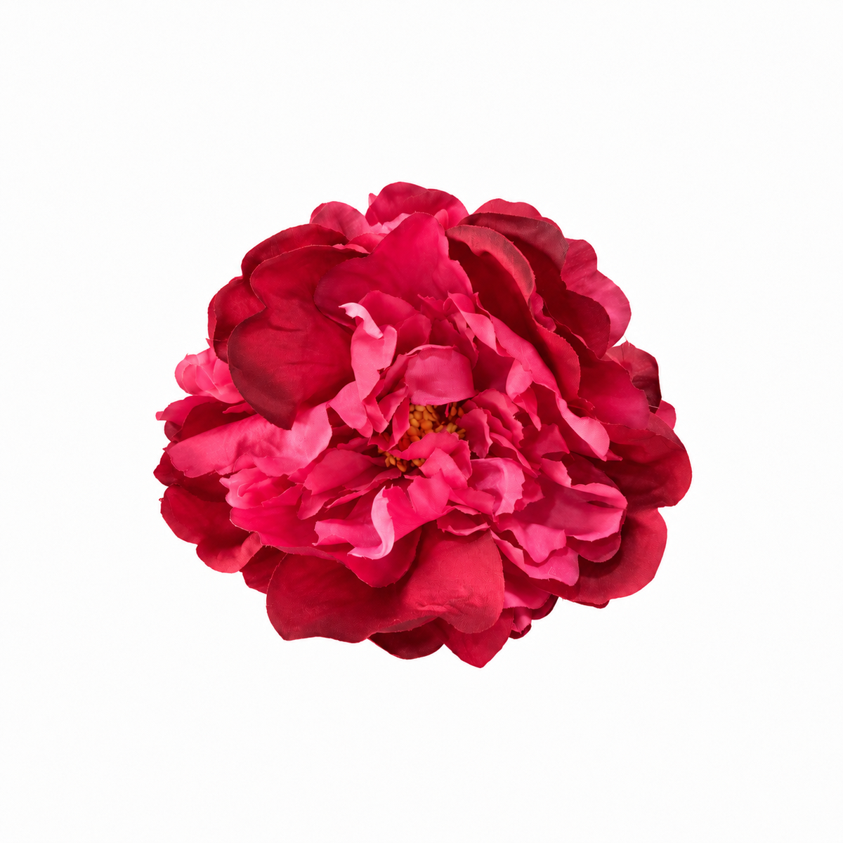 PEONIA NALA GRANDE FRESA