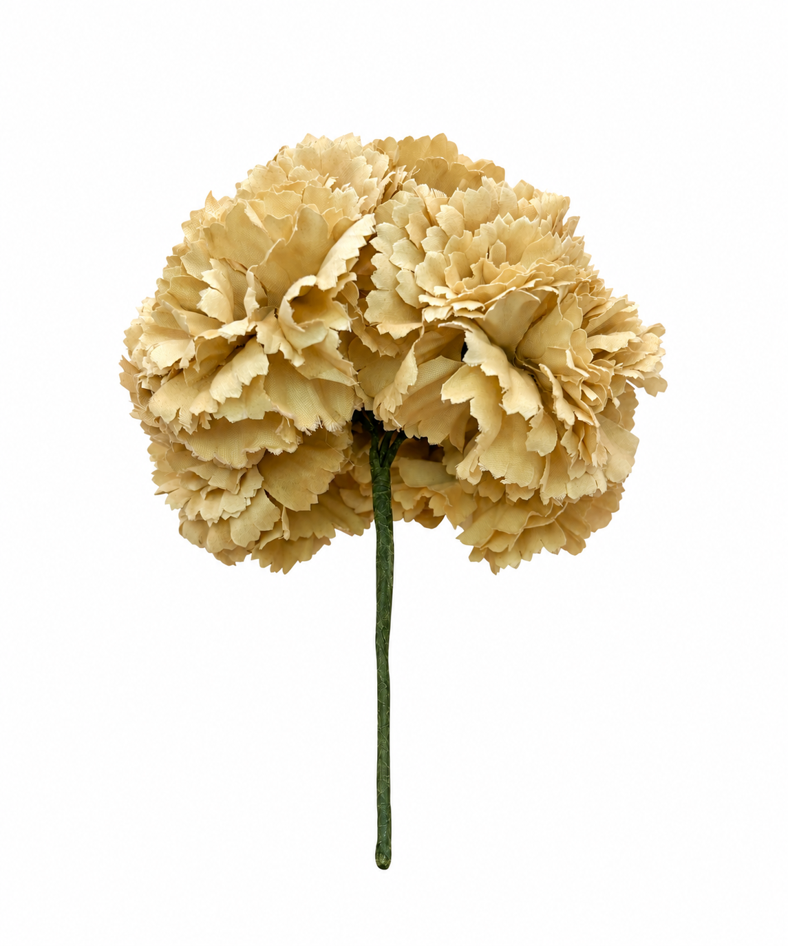 RAMILLETE CLAVEL TINTADO BEIGE