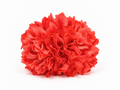 RAMILLETE DALIAS CORAL