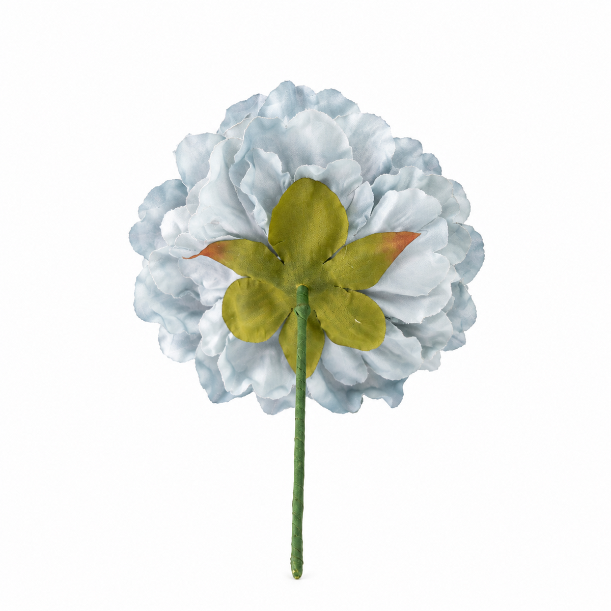 PEONIA NALA GRANDE CELESTE
