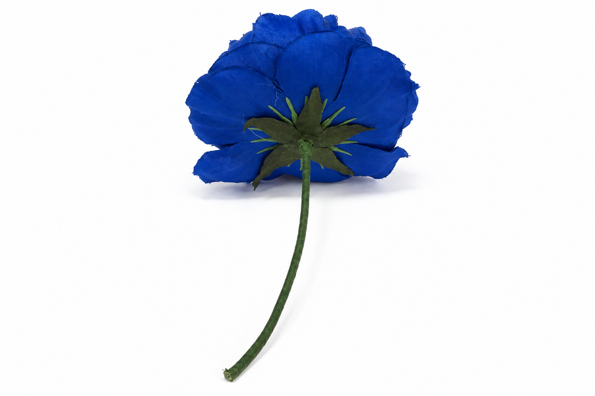 PEONIA NIÑA PEQUEÑA AZULINA