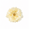 PEONIA NALA GRANDE BEIGE