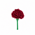 PIN CLAVEL BURDEOS