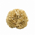 RAMILLETE CLAVEL TINTADO BEIGE