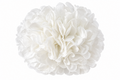Ramillete pompón Lia blanco para niña flamenca