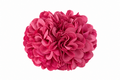 Ramillete pompón Lia rosa para niña flamenca
